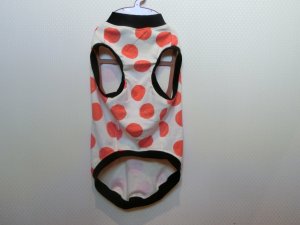画像4: サイズ４２　１年中タンク
