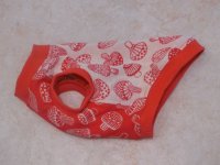 サイズ３７　maffonタンク