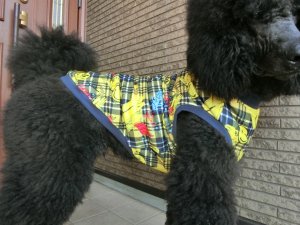 画像5: サイズ８０　タンクトップ