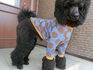 画像4: サイズ８０　maffonラグラン