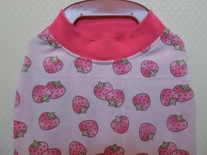 画像1: サイズ５６　１年中タンク