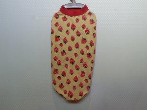 画像2: サイズ７０　１年中タンク