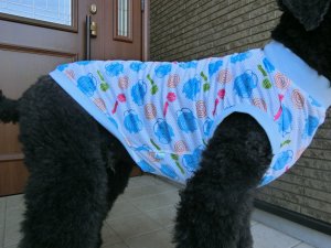 画像5: サイズ８５　メッシュ