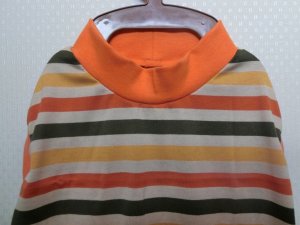 画像3: サイズ８０　１年中タンク