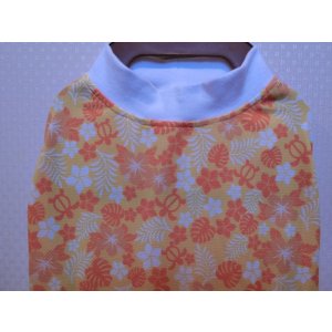 画像: サイズ７５　クールクロス