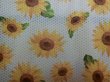 画像3: サイズ４８　接触冷感メッシュ